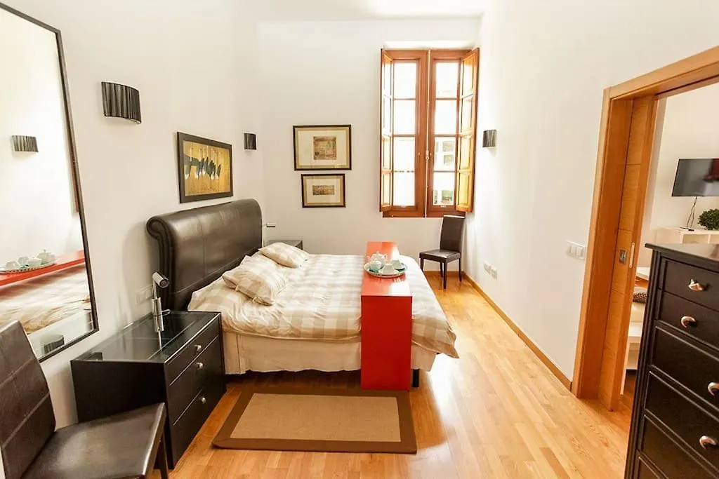 Centrico Loft En El Centro De Santa Cruz Apartment Santa Cruz de Tenerife