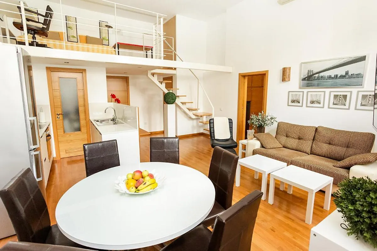 Centrico Loft En El Centro De Santa Cruz Apartment